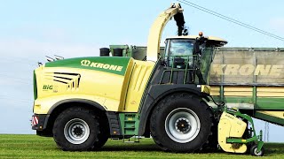 Krone Big X 780 in the field chopping grass  Silage Season 2021  Danish Agriculture [upl. by Lyrrad572]