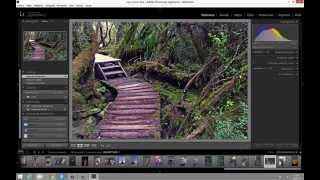 Copiar o Añadir al Importar en Lightroom 5 [upl. by Undis613]