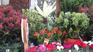 Plants Nursery Tour  Plants Prices with Names  Plant Nursery Near Me [upl. by Shaffer]