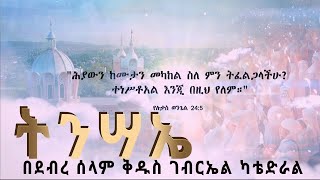 “የትንሳኤ በዓል አከባበር”  በአዳማ ናዝሬት ደብረ ሰላም ቅዱስ ገብርኤል ካቴድራል ዘደብረሰላምአዳማሚዲያ [upl. by Linker]