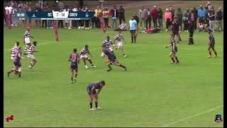 Grey College 1st VS Selborne College 1st 2024 Highlights [upl. by Millwater]