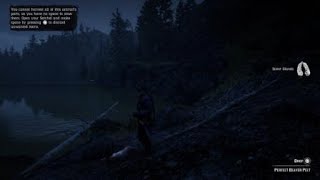 Red Dead Redemption 2 Where to hunt perfect beaver pelts [upl. by Effy636]