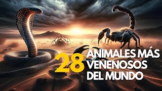 Estos son los 28 Animales MÁS venenosos del mundo animalesincreibles animales curiosidades [upl. by Aleunam]