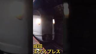 成田エクスプレス通過 豆鉄 成田エクスプレス 成田線 横須賀線 jr jr東日本 新橋駅 特急 成田エクスプレス 通過 [upl. by Seravaj60]