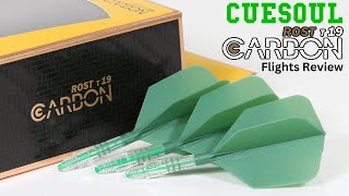 Cuesoul Darts ROST T19 CARBON Flights Review [upl. by Toiboid479]