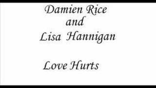 Love Hurts  Damien Rice amp Lisa Hannigan [upl. by Nylknarf]