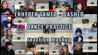 ENHYPEN TAMED  DASHED DANCE PRACTICE  reaction mashup [upl. by Kelwunn]