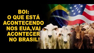 BOI O QUE ESTÁ ACONTECENDO NOS EUA VAI ACONTECER NO BRASIL [upl. by Lekar]