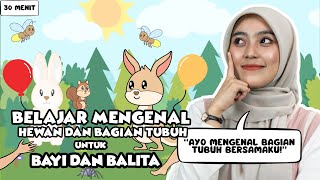 Belajar Untuk Bayi Dan Balita  Mengenal Anggota Tubuh Nursery Rhymes Untuk Bayi Dan Balita [upl. by Ormsby]