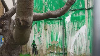 Banksy Tree Mural Defaced Days After Popping Up in London [upl. by Estell904]