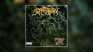 Suffocation  Pierced from Within 1995 FULL ALBUM HQ [upl. by Gearalt670]