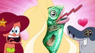 Zig amp Sharko  THE SIRENS S03E30 New Episodes in HD [upl. by Nicholas478]