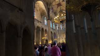 Barcelona Spain travel short youtubeshorts europeancity placestovisit spain barcelona [upl. by Yllaw233]