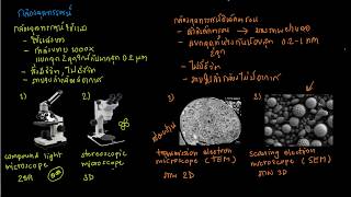 ชีววิทยา  ประเภทของกล้องจุลทรรศน์ [upl. by Jegger]