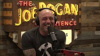 Joe Rogan Experience 1849  Rich Benoit [upl. by Tigirb575]