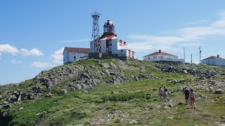 What to do in Bonavista Newfoundland [upl. by Dorion777]