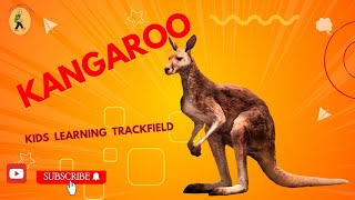 Kangaroo [upl. by Joel]