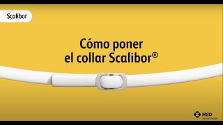 ¿Cómo poner el collar Scalibor®  Scalibor® [upl. by Daniyal]