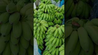 Amazing Chinese Banana fruit  beautiful Testy banana convert fruit [upl. by Spracklen]