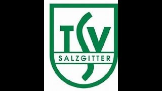 TSV Salzgitter gegen ASV Altenlingen [upl. by Olimac]