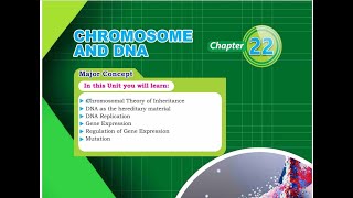 Chromosome and DNA part 1 [upl. by Arri]