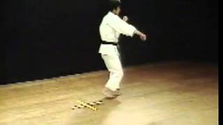 Heian SandanHirokazu KanazawaKata Shotokan SKIF [upl. by Palua212]