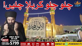 chalo karbala 2024 Kafla Karbala Najaf by Air 2024  Karwan e Mehrban  Mehrban Ali [upl. by Akinat]