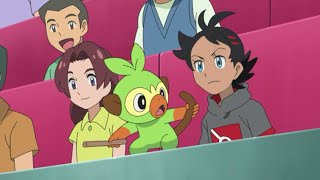 🌿Grookey cute moments pokemon journeys ep 77 [upl. by Nodnyl]