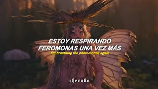 melanie martinez  FAERIE SOIRÉE music video 『sub español  lyricsletra』 [upl. by Anidene308]