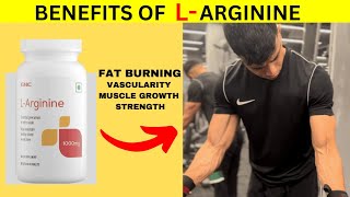 BEST SUPPLEMENT FOR BURNING STUBBORN FAT  L ARGININE amp VASCULARITY [upl. by Anemij]