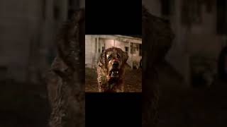 top of my favorite horror movie Cujo edit CTW blood childhood trauma DeadInsideClone you better [upl. by Teferi]