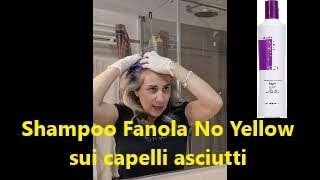 Shampoo Fanola No Yellow sui capelli asciutti [upl. by Almita]