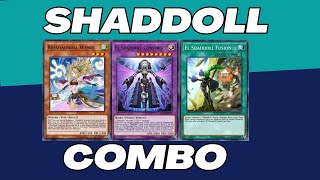 Shaddoll Deck Combo Gameplay New Mainbox Phoenix Blaze YuGiOh Duel Links [upl. by Brunk]