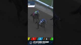 2024 Smarty Jones Stakes Replay [upl. by Gombosi]