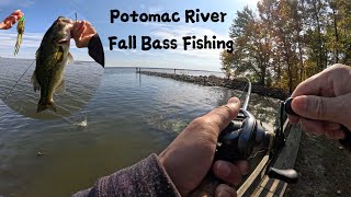 Potomac River Fall Bass Fishing  Bank Fishing [upl. by Garwin]