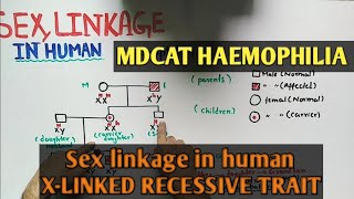 X linked recessive haemophilia  NMDCAT 2021 [upl. by Lipps979]