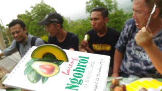 NGOBROL BARENG DI AVOCADO LAND 2019 [upl. by Laughlin]