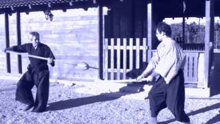 Ogawa Ryu Valencia Training 2010  Yarijutsu [upl. by Ettennaej]