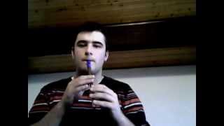 Fairytale of NewYork tin whistle cover [upl. by Adiene306]