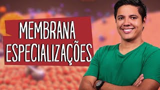 ESPECIALIZAÇÕES DA MEMBRANA PLASMÁTICA  CITOLOGIA  Prof Kennedy Ramos [upl. by Bullis]