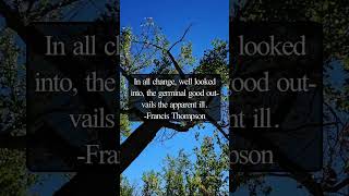 Motivational Quote On Change amp Apparent Ill  Francis Thompson motivation MotivationalQuote [upl. by Alyehc]