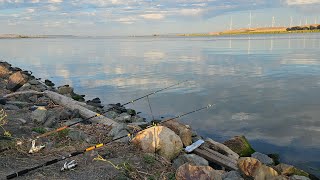 Unexpected Day Fishing At Sherman Island On The Sacramento River [upl. by Eilyr77]