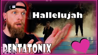 Omg wow Hallelujah Pentatonix live Reaction [upl. by Hayalat]