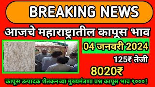 आजचे कापुस बाजार भाव दिनांक 04 जनवरी 2024  kapus bhav today  महाराष्ट्रतिल कापूस भाव [upl. by Earized]