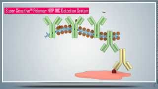 Immunohistochemistry IHC amp AntigenEpitope Protein Retrieval  Principle Technique and Protocol [upl. by Trefler]