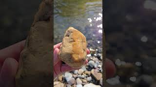 James Found A Beautiful Stromatolite Fossil riverrocks fossils [upl. by Enileoj]