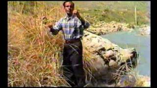 new kurdish song funny nice voice and nice clip Muhammad hashmati [upl. by Ozen895]