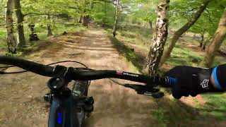 MTB Epping forest Crazy day [upl. by Keelin601]