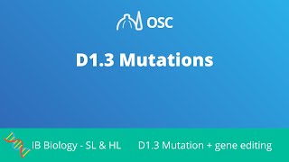 D13 Mutations IB Biology SLHL [upl. by Oilasor155]