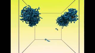 Selfassembly of polyelectrolyte diblock copolymers in aqueous solutions [upl. by Modesta]